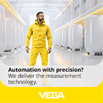 VEGA INSTRUMENTS CO LTD